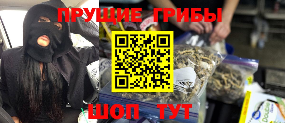 Псилоцибиновые грибы Cubensis Серпухов